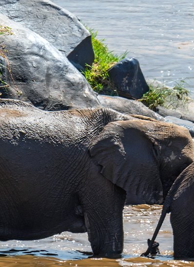 Andaman Wildlife Safari Package