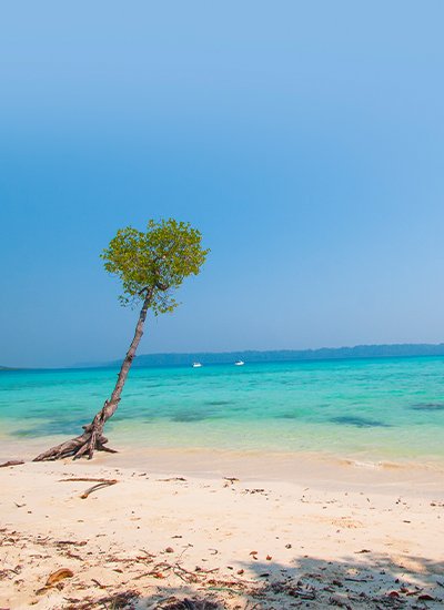 Andaman Explorer Trips