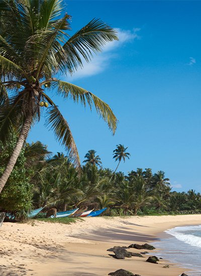 Exotic Beaches & Ayurveda Tour