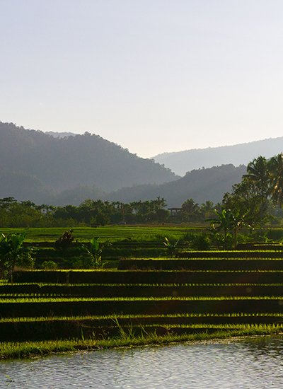 Escape to Kerala – Where Nature Meets Peace